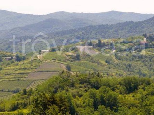 Villa Indipendente in vendita a Cadegualchi, Parodi Ligure