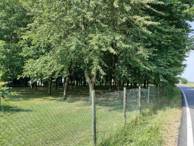 Villa Indipendente in vendita a Pegognaga, Lombardia
