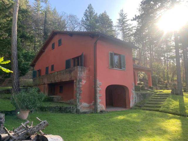 Villa Indipendente in vendita a Unione di Comuni Valdarno e Valdisieve, Pelago
