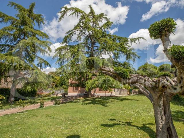 Villa Indipendente in vendita a Podere le Spiagge, Cenerente