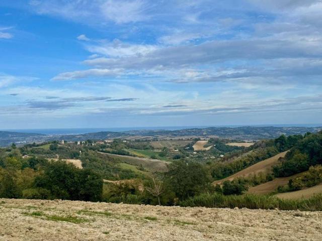Rustico in vendita a Monteciccardo, Marche