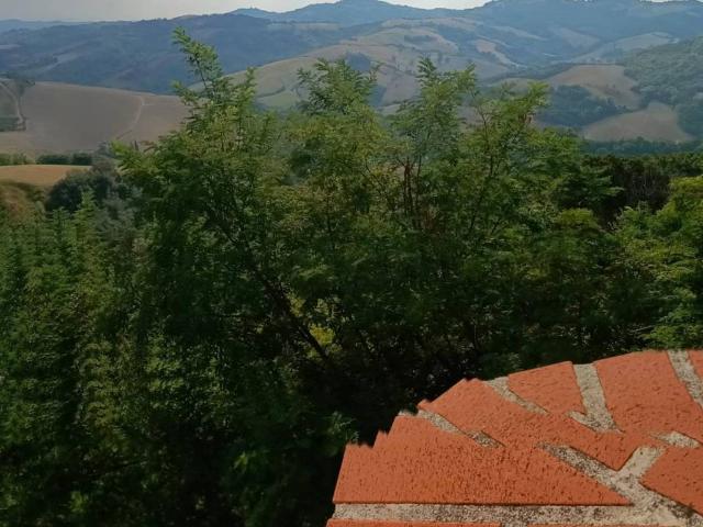 Villa Indipendente in vendita a Monteciccardo, Marche