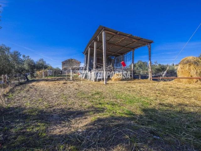 Villa Indipendente in vendita a Marche, Macerata