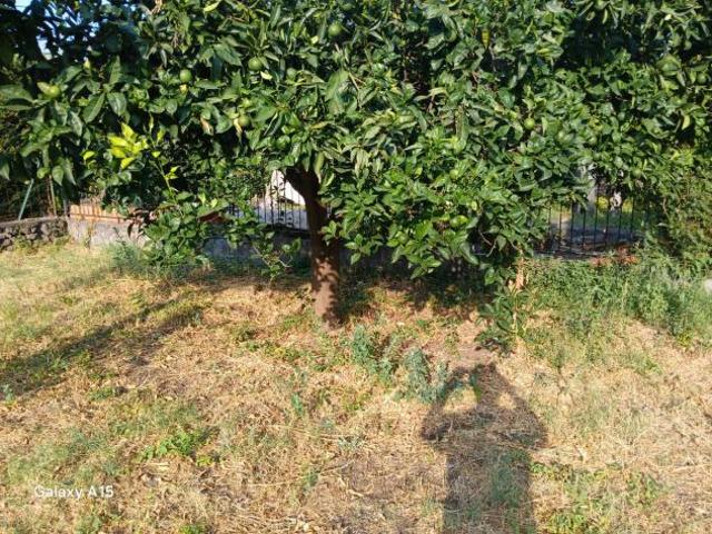 Villa Indipendente in vendita a Piedimonte Etneo, Sicilia