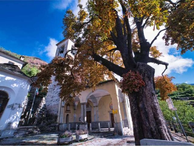Villa Indipendente in vendita a Bannio Anzino, Piemonte
