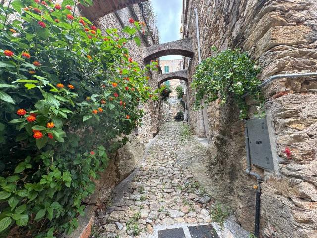 Villa Indipendente in vendita a Ranzi, Pietra Ligure
