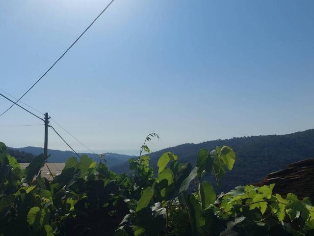 Villa Indipendente in vendita a Pietrabruna, Liguria