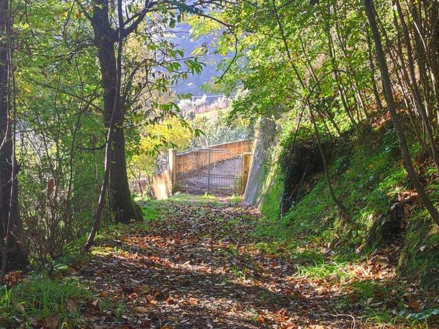 Villa Indipendente in vendita a Tonfano, Toscana
