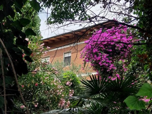 Villa Indipendente in vendita a Tonfano, Toscana