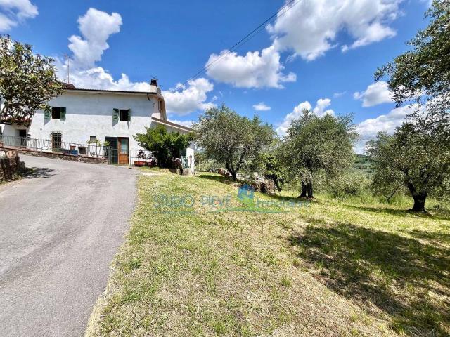 Villa Indipendente in vendita a Pieve A Nievole, Toscana