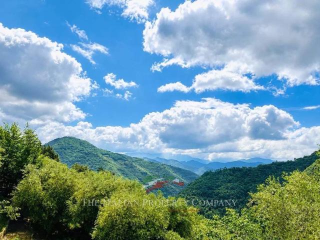 Villa Indipendente in vendita a Pigna, Liguria