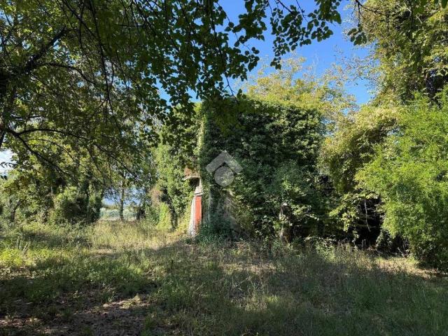 Villa Indipendente in vendita a Pignataro Interamna, Lazio