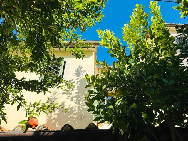 Villa Indipendente in vendita a Pistoia