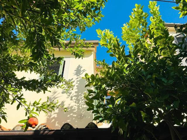 Villa Indipendente in vendita a Casermette, Pistoia