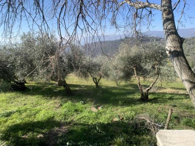 Villa Indipendente in vendita a Pistoia, Toscana