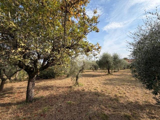Villa Indipendente in vendita a Santomato, Pistoia