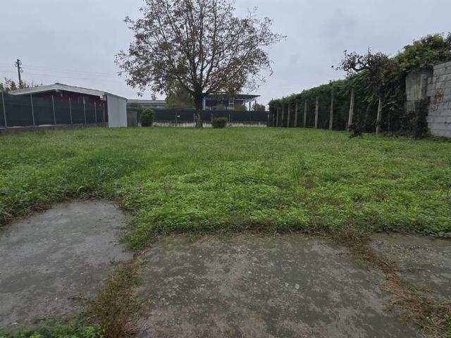 Villa Indipendente in vendita a Pomponesco, Lombardia