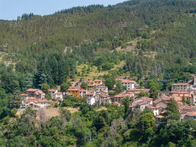 Villa Indipendente in vendita a Montanino, Poppi