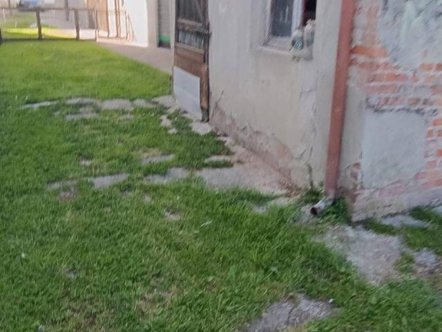 Villa Indipendente in vendita a Portalbera, Lombardia