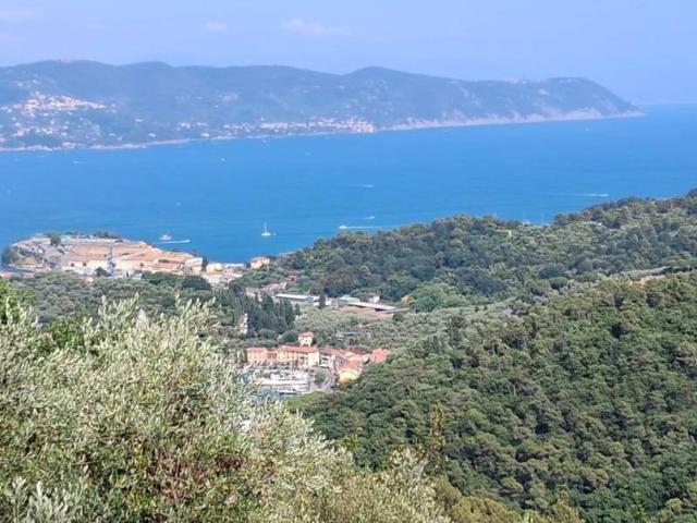 Villa Indipendente in vendita a Le Grazie, Portovenere