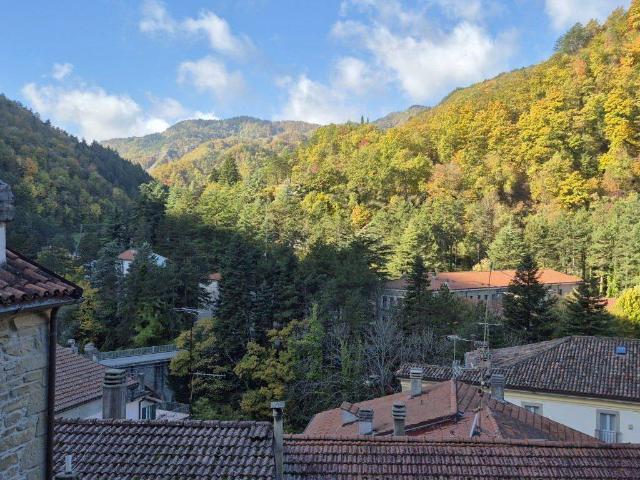 Villa Indipendente in vendita a Unione di Comuni della Romagna Forlivese, Premilcuore