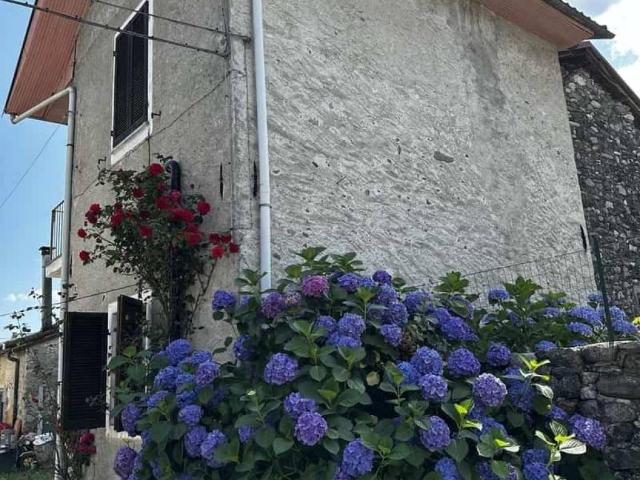 Villa Indipendente in vendita a Cellio con Breia, Piemonte