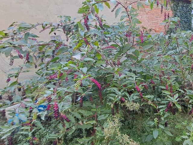 Villa Indipendente in vendita a Molin Nuovo, Quarrata