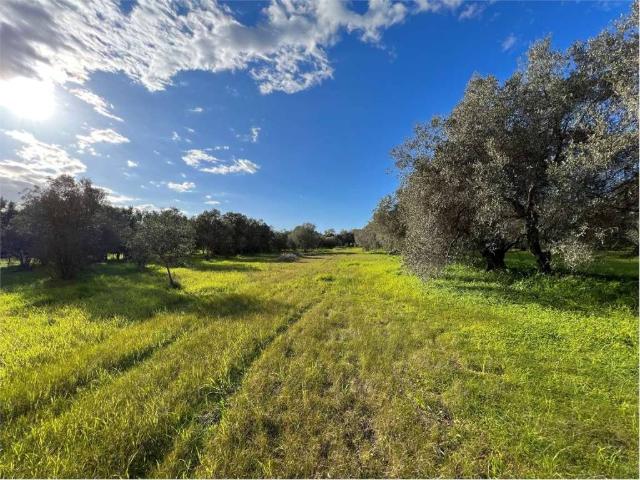 Villa Indipendente in vendita a Quartucciu, Sardigna/Sardegna