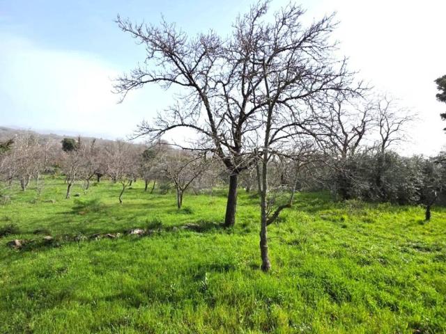 Villa Indipendente in vendita a Rocca, Ragalna
