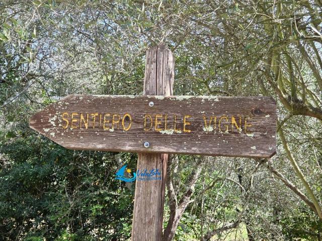 Villa Indipendente in vendita a Ranzo, Liguria