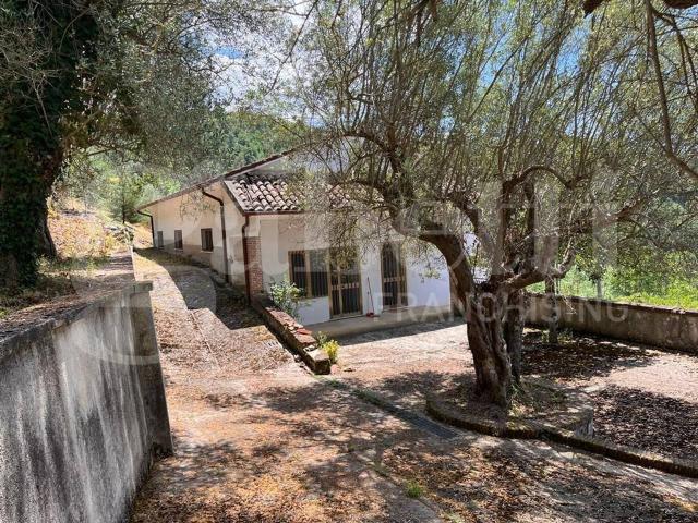 Villa Indipendente in vendita a Raviscanina, Campania