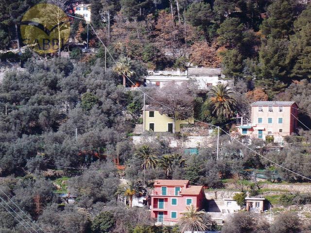 Villa Indipendente in vendita a Polanesi, Recco