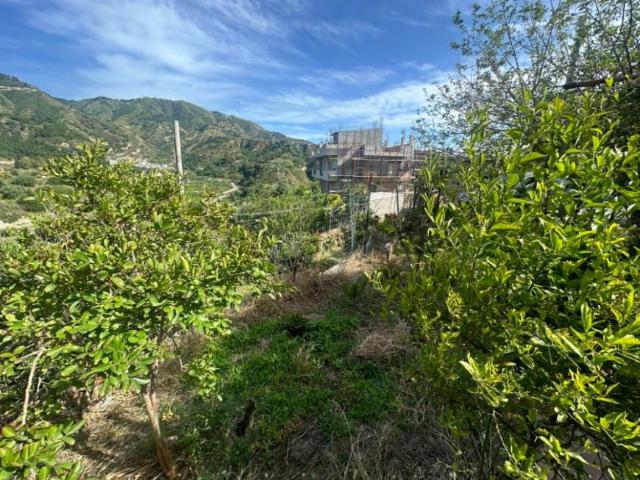 Villa Indipendente in vendita a Gallina, Calabria