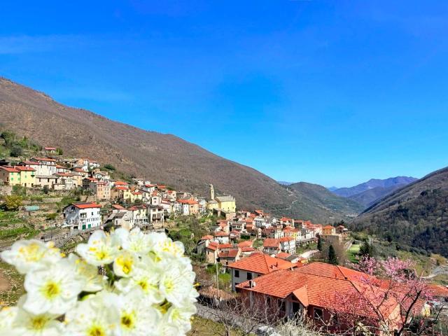 Villa Indipendente in vendita a Rezzo, Liguria
