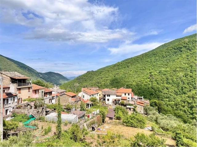 Villa Indipendente in vendita a Rezzo, Liguria