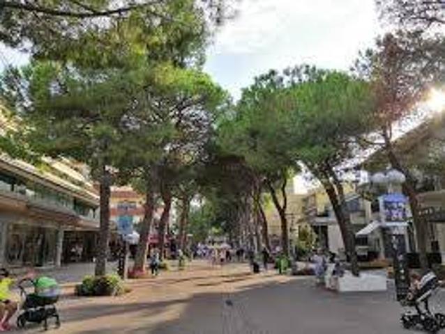 Villa Indipendente in vendita a Riccione, Reggio Emilia