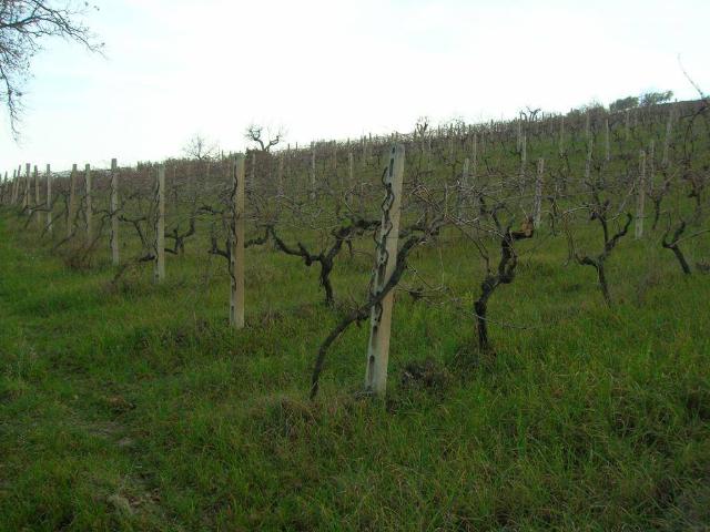 Villa Indipendente in vendita a Marche, Ascoli Piceno