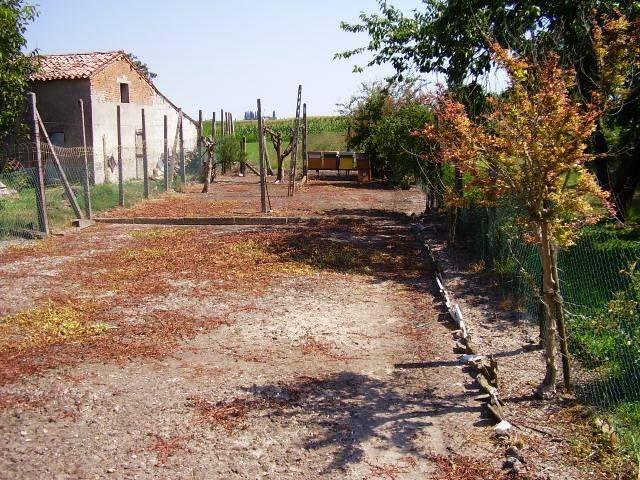 Villa Indipendente in vendita a Unione Terre e Fiumi, Reggio Emilia