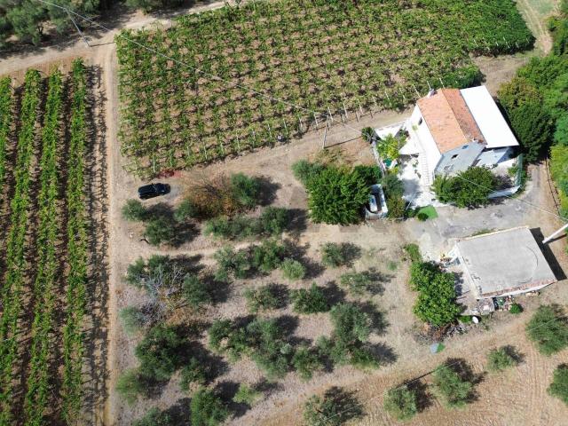 Villa Indipendente in vendita a Rocca San Giovanni, Abruzzo