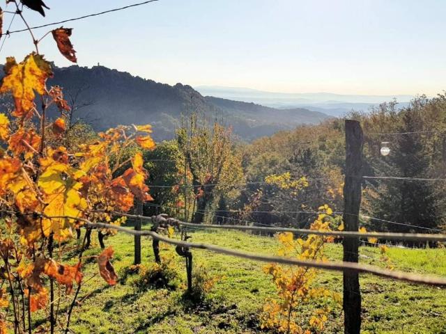 Villa Indipendente in vendita a Massa Marittima, Toscana