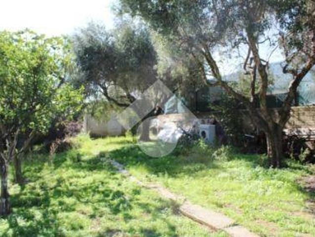 Villa Indipendente in vendita a Castelverde, Roma Capitale