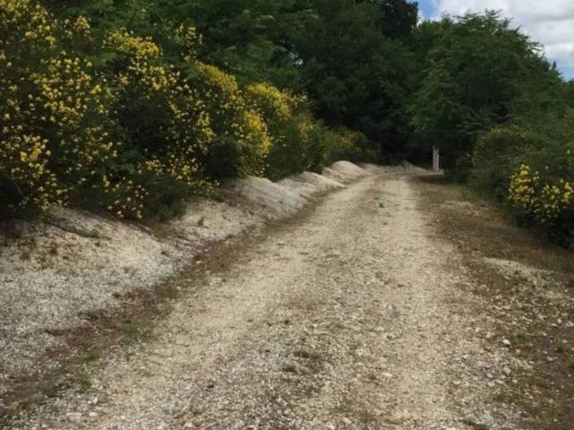 Villa Indipendente in vendita a Marche, Ancona
