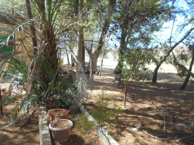Villa Indipendente in affitto a Salaparuta, Sicilia