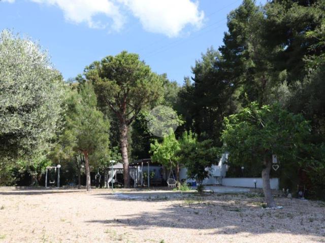 Villa Indipendente in vendita a Ponterotto, Marche