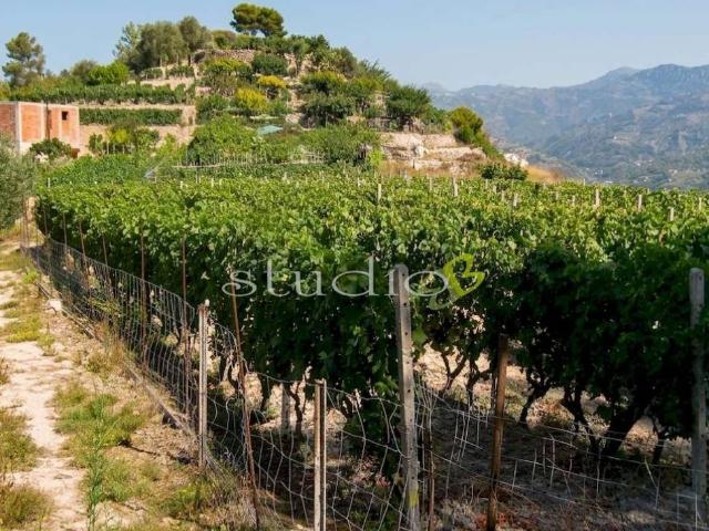Villa Indipendente in vendita a San Biagio Della Cima, Liguria