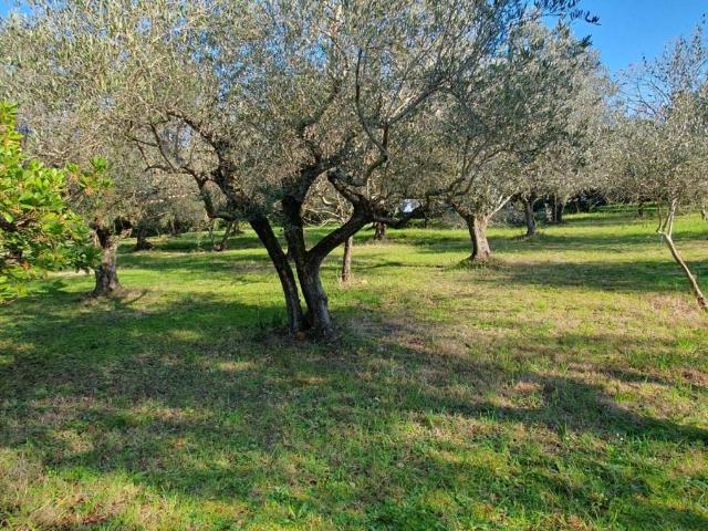 Villa Indipendente in vendita a San Casciano in Val di Pesa, Mulino Di Sugana