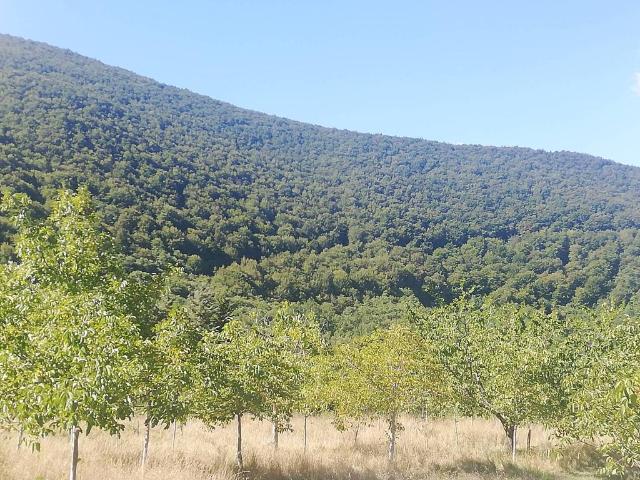 Villa Indipendente in vendita a San Fele, Basilicata
