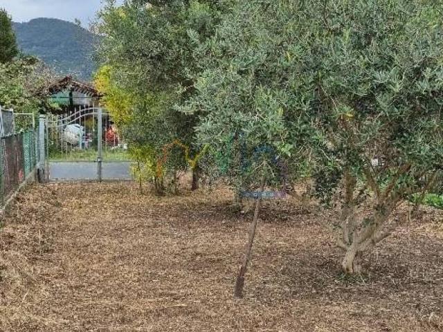Villa Indipendente in vendita a Gello, San Giuliano Terme
