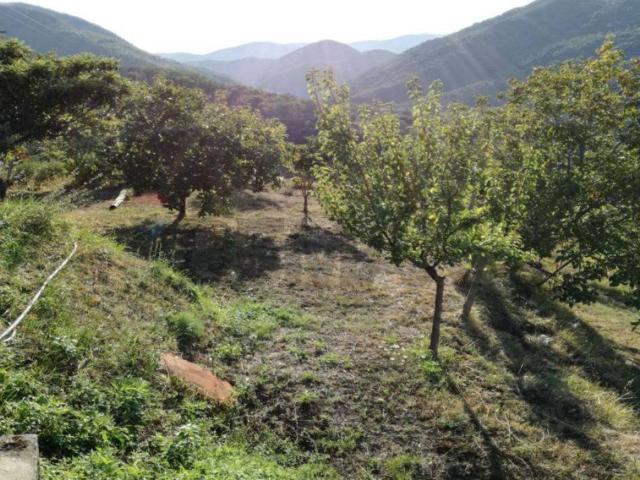 Villa Indipendente in vendita a Calabria, Cosenza