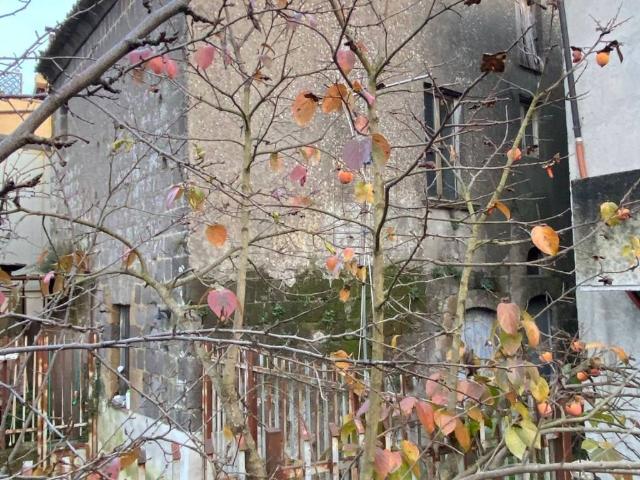 Villa Indipendente in vendita a San Martino Valle, Campania